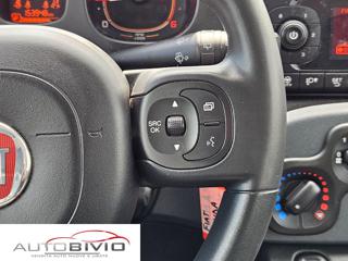 FIAT Panda usata 23