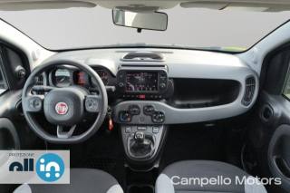 FIAT Panda usata 5