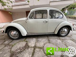VOLKSWAGEN Maggiolino usata 14
