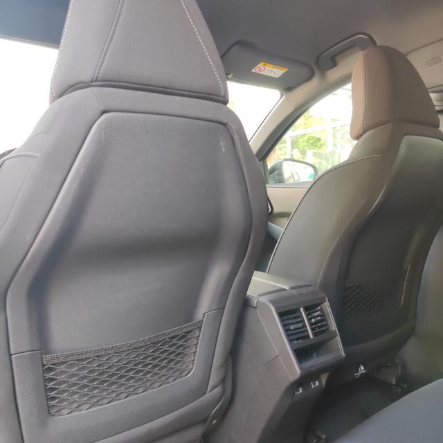 DS AUTOMOBILES DS 7 Crossback usata, con Cruise Control