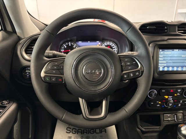 JEEP Renegade usata, con Volante in pelle