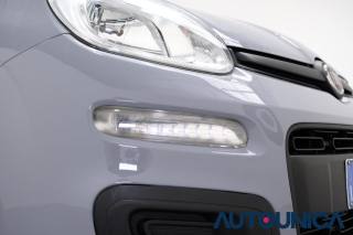FIAT Panda usata 59
