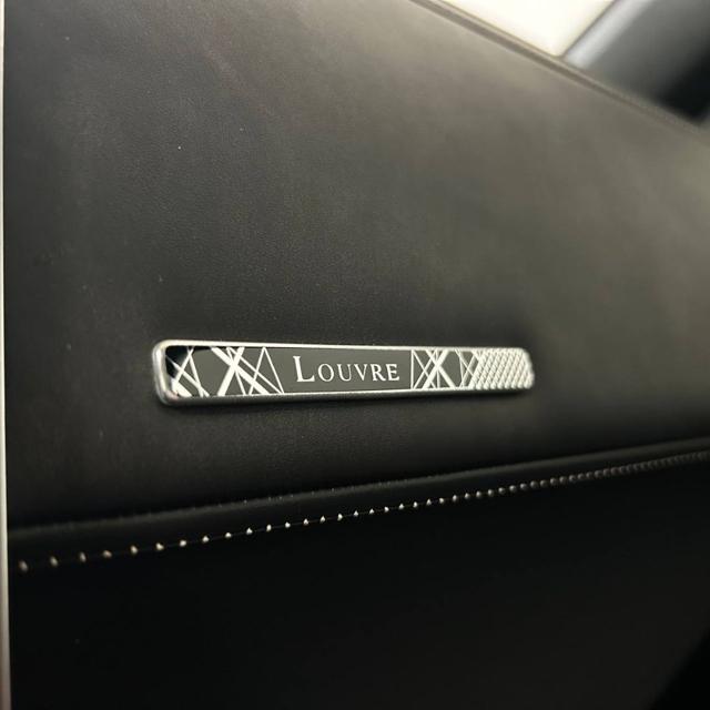 DS AUTOMOBILES DS 7 Crossback usata, con Controllo vocale