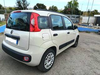 FIAT Panda usata 6