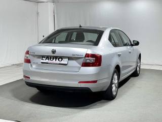 SKODA Octavia usata, con Cerchi in lega