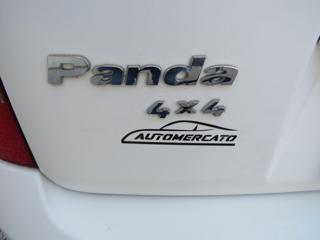 FIAT Panda usata 13