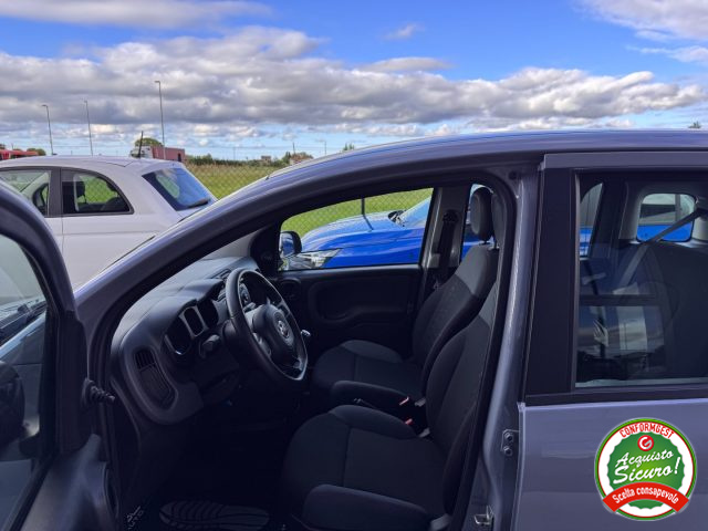 FIAT Panda usata, con Cronologia tagliandi