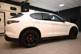 ALFA ROMEO Stelvio usata 95