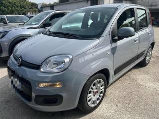 FIAT Panda 1.0 FireFly S&S Hybrid 70cv