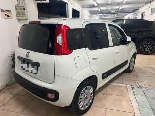 FIAT Panda usata, con Alzacristalli elettrici