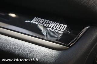 MINI Countryman usata 24