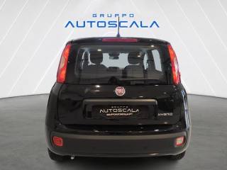 FIAT New Panda usata, con Airbag Passeggero