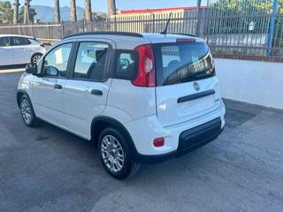 FIAT Panda usata, con Autoradio