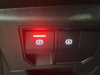 RENAULT Austral usata 27