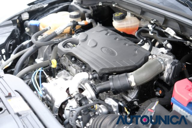 FORD Focus usata 64