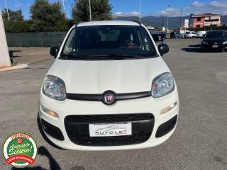 FIAT Panda usata, con Airbag