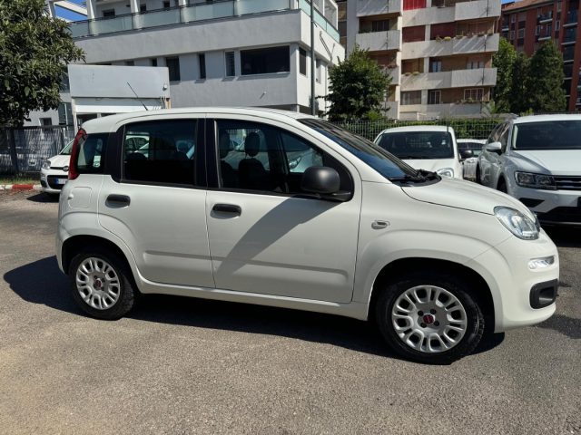 FIAT Panda usata, con Alzacristalli elettrici