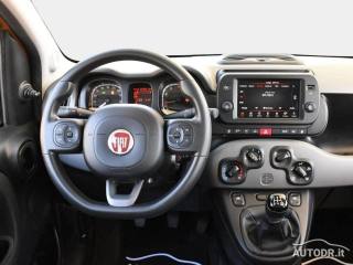 FIAT Panda usata 28