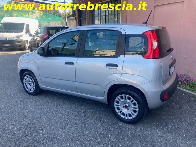 FIAT Panda usata, con Airbag Passeggero