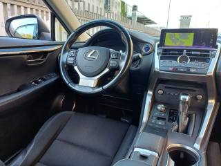 LEXUS NX 300 usata, con Cronologia tagliandi
