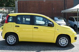 FIAT Panda usata, con Alzacristalli elettrici