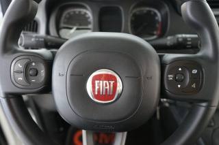 FIAT Panda usata 31