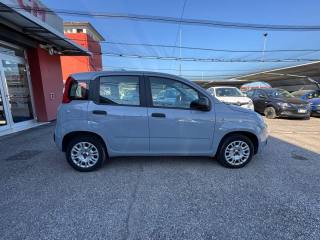 FIAT Panda usata, con Airbag Passeggero