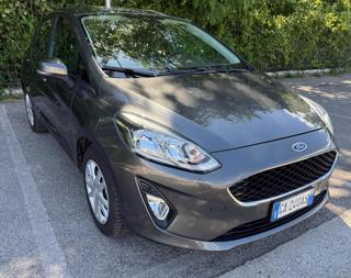 FORD Fiesta 1.5 EcoBlue 5 porte Business