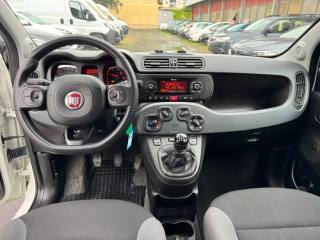 FIAT Panda usata, con Controllo trazione