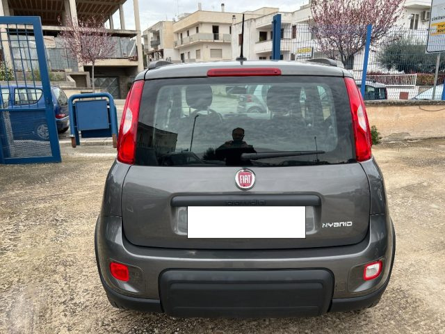 FIAT Panda usata 8