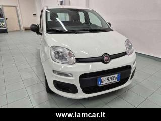 FIAT Panda usata, con Airbag Passeggero