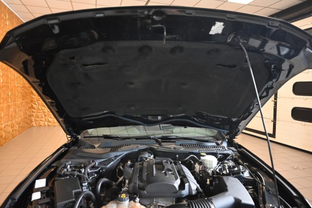 FORD Mustang usata 71