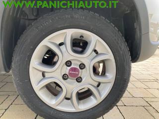 FIAT Panda usata, con Fendinebbia