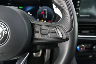 ALFA ROMEO Stelvio usata, con Bracciolo