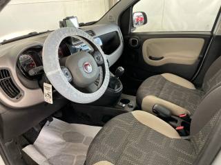 FIAT Panda usata 19
