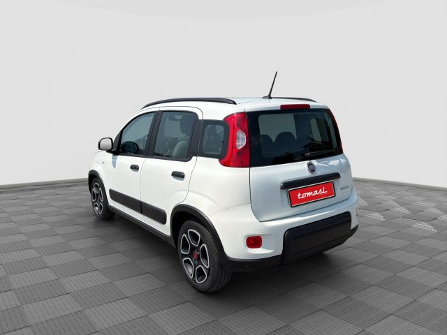 FIAT Panda usata 2