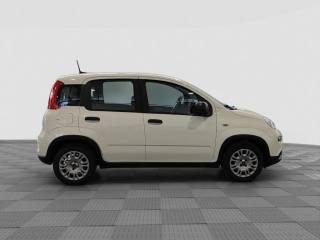 FIAT Panda usata 5