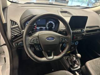 FORD EcoSport usata, con Cruise Control