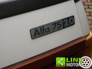 ALFA ROMEO 75 usata 46