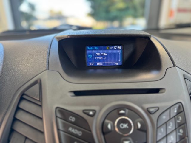 FORD EcoSport usata, con Volante in pelle