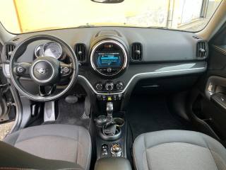 MINI Countryman usata, con Cronologia tagliandi