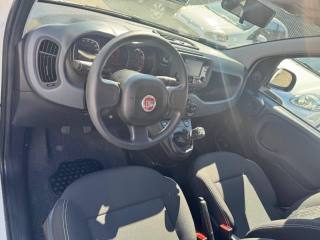 FIAT Panda usata, con Controllo trazione