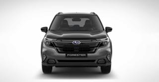 SUBARU Forester usata, con Alzacristalli elettrici