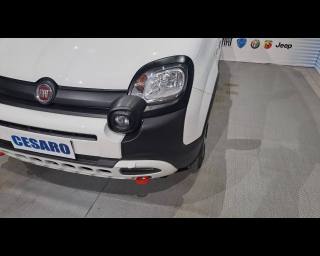 FIAT New Panda usata 26