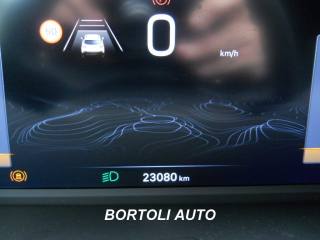 JEEP Avenger usata, con Cronologia tagliandi