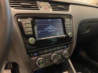 SKODA Octavia usata, con Cruise Control