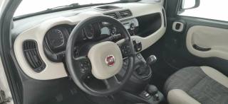 FIAT Panda usata, con Airbag testa