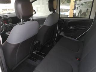 FIAT Panda usata, con Airbag testa