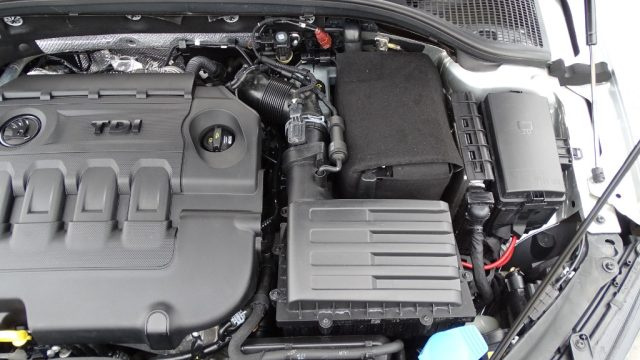 SKODA Octavia usata 141