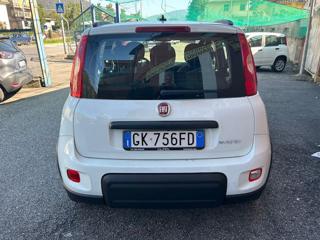 FIAT Panda usata, con Antifurto